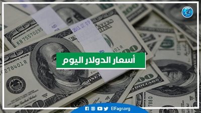 سعر الدولار اليوم الأحد  30-10-2022 محافظة الإسكندرية