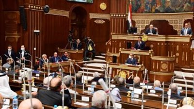 مجلس الشيوخ يناقش قانون 