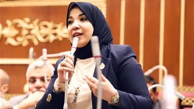 برلمانية: الرئيس السيسي حريص على استثمار الفرص لدفع القطاع الصناعي إلى الأمام