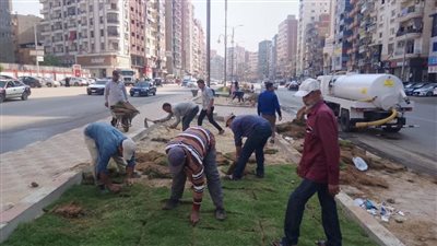استكمال أعمال تشجير وزراعة أحواض الجزيرة الوسطى بشارع قناة السويس