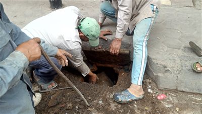 تطهير البالوعات ورفع 280 طن قمامة من الشوارع والميادين في الدقهلية