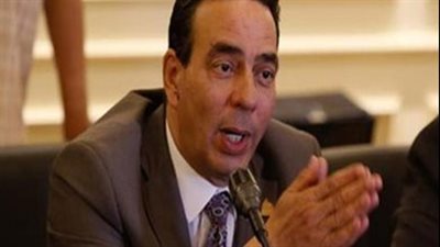  رئيس الهيئة البرلمانية للإصلاح والتنمية يوضح ضوابط قانون منح الجنسية المصرية للأجانب