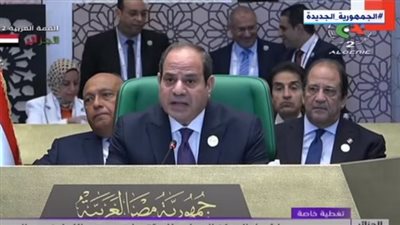 السيسي: قدرة الدول العربية على العمل لتسوية القضية الفلسطينية يعكس مدى تماسكها (فيديو)