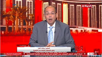 سفير فلسطين السابق بالقاهرة: هذا ما نحتاج من القمة العربية لخدمة قضيتنا (فيديو) 