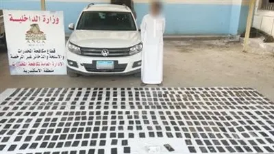 ضربة أمنية حاسمة.. ضبط 820 طربة حشيش بقيمة 5 مليون و740 ألف جنيه