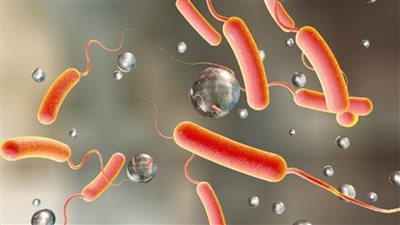 بعد شائعة انتشار الكوليرا في مصر.. ننشر الأعراض وطرق العلاج