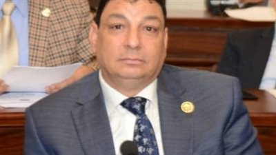 برلماني: خلو مصر من الكوليرا والأمراض الوبائية انتصار للمنظومة الصحية في الوطن