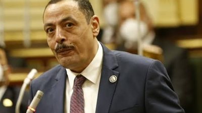 برلماني: قمة الجزائر حملت العديد من المكاسب السياسية للدول العربية