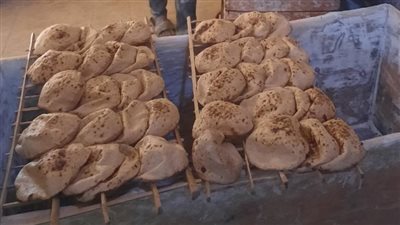 تموين المنوفية يحرر 227 محضر تموينى وضبط 9 طن أعلاف