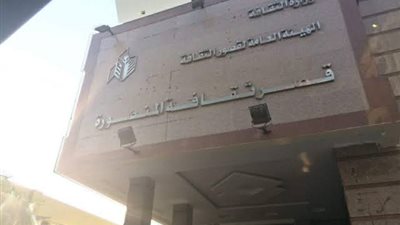 اليوم العالمي للقضاء على العنف ضد المرأة بثقافة الدقهلية