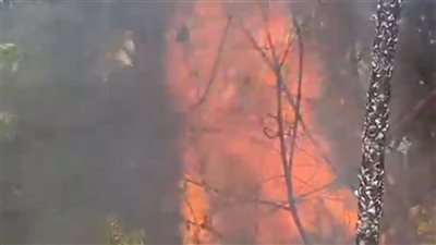 قوات الحماية المدنية تتمكن من إخماد حريق هائل بمدينة بورفؤاد 