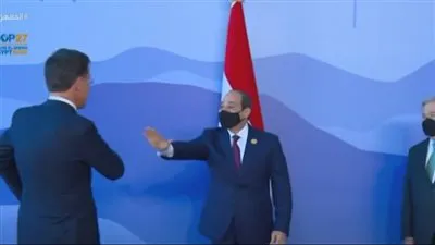 شاهد| رئيس وزراء هولندا يتعرض لموقف محرج.. والسيسي يتدارك الموقف