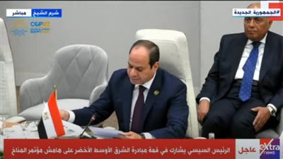 عاجل.. السيسي: منطقتنا أصبحت تخطو خطوات واضحة على الطريق الصحيح