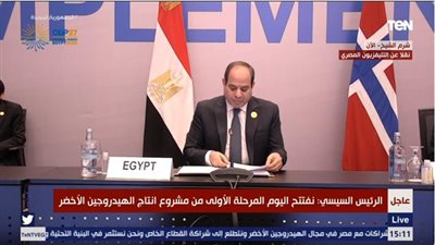 الرئيس السيسي: مصر ستكون جسرا للطاقة بين إفريقيا وأوروبا (فيديو)