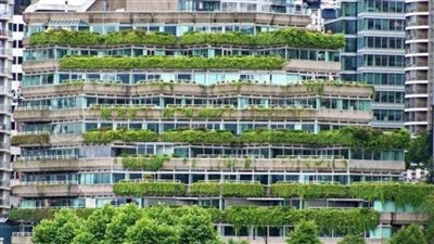 تعرف على شروط وكيفية الاشتراك في مسابقة الإسكان الأخضر (فيديو)