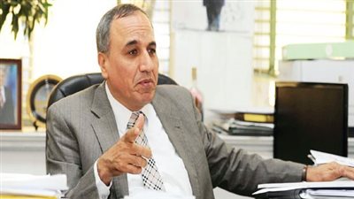 عبد المحسن سلامة: مصر في طريق التعافي من الأزمة الاقتصادية (فيديو)