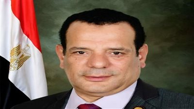 برلماني: العالم يمر بأزمة طاحنة وهذا طوق النجاة لمصر (فيديو)