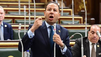 برلماني: القيادة السياسية تبنت مسار تعزيز مكانة مصر كأرض للتنمية والاستثمار 