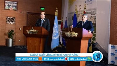 أسامة ربيع والأمين العام للمنظمة البحرية الدولية يبحثان سُبل تحول القطاع البحري نحو الوقود الأخضر