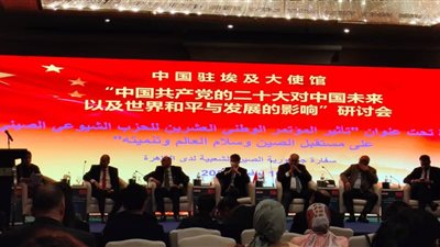 سفير الصين بالقاهرة يؤكد: ملتزمون بالحفاظ على السلم العالمي ودفع التنيمة المشتركة