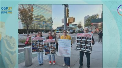 شاهد.. تفاصيل تنظيم مصريين وقفة أمام الأمم المتحدة لرفض التدخل في الشأن الداخلي