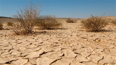 اطلاق تحالف جديد للصمود في وجه الجفاف علي هامش 