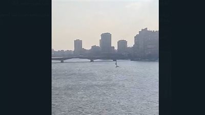 لا لثورة 11-11.. المواطنين يدعمون جهود السيسي 