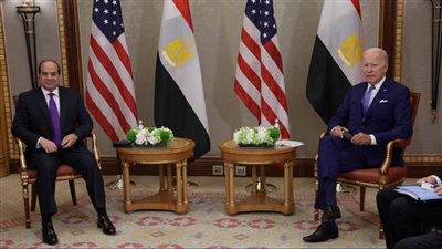 خبير استراتيجي يكشف ما حدث في مصر يوم 11/11