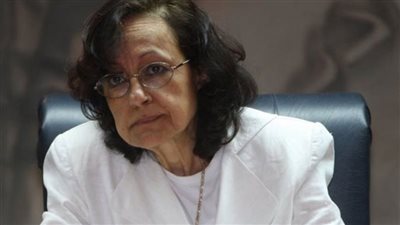 سكينة فؤاد: مردود نجاح قمة المناخ سينعكس على حياة المصريين قريبا (فيديو)