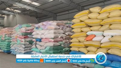 توريد 160 طن أرز شعير لشون محافظة البحيرة (صور)