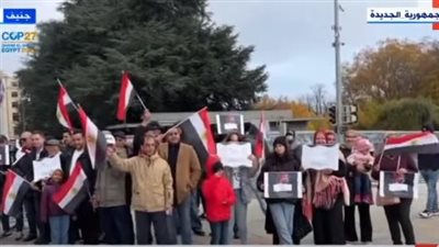 الجاليات المصرية تنظم وقفات بالخارج لتأييد الدولة والسيسي واحتفالا بقمة المناخ (فيديو)