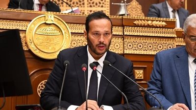 حلاوة: جهود الرئيس السيسي فى مؤتمر المناخ والمؤتمر الاقتصادي فتحت المجال أمام الاستثمارات