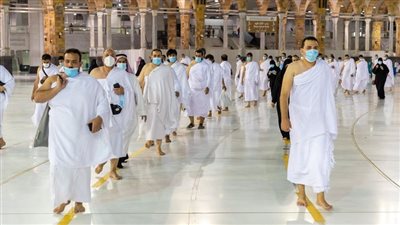 خبير سياحي يكشف تفاصيل نظام 