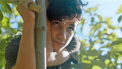 'تحت الشجرة'.. الفائز بـالتانيت الفضي في أيام قرطاج السينمائية يعرض في المهرجان الدولي للفيلم بمراكش