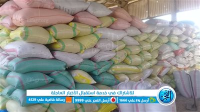 انتظام أعمال توريد محصول الأرز بالبحيرة (صور)