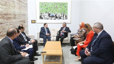 مباحثات مصرية أردنية حول جهود الانتقال الطاقى وتنمية موارد الغاز الطبيعى والهيدروجين