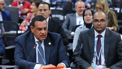 وزير التنمية: الحكومة المصرية تدعم جهود الدول في التصدي لأثار التغيرات المناخية 