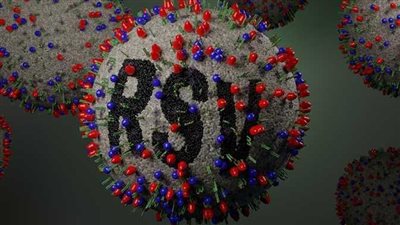 طبيب يكشف موعد اختفاء الفيروس المخلوي التنفسي (فيديو)