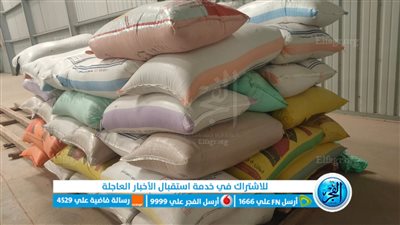 توريد 178 طن أرز شعير لشون محافظة البحيرة (صور)