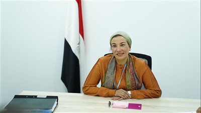 وزيرة البيئة تناقش مع نظيرتها السويدية توقعات إعلان مؤتمر المناخ COP27 
