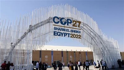 استشاري التغيرات المناخية يكشف سبب تعطل تفعيل صندوق 