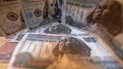  سعر الدولار مقابل الجنيه المصري بمستهل تعاملات اليوم 20 \11\ 2022.. 
