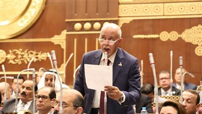 برلماني: قرارات قمة شرم الشيخ تاريخية والإشادات العالمية تؤكد نجاح مصر 