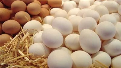 بالتفصيل.. الزراعة تكشف أسعار السلع (فيديو)