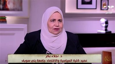 عميد كلية السياسة ببني سويف: مصر حققت نجاحا كبيرا في cop27