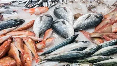 اسعار السمك فى الاسواق المصرية اليوم الخميس24-11- 2022