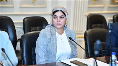 برلمانية: نحتاج بكل الطرق لدعم الثقافة الصناعية وتشجيع المنتج المحلي