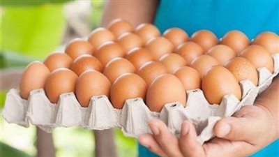 أسعار كرتونة البيض في الأسواق المصرية اليوم السبت 26/11/2022