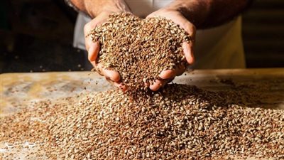 التموين: احتياطي مصر من القمح يكفي لمدة 5 أشهر 