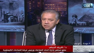 الصناعات الكيماوية: إلغاء مبادرة الـ8% سيكون لها أثر على زيادة الأسعار بالأسواق